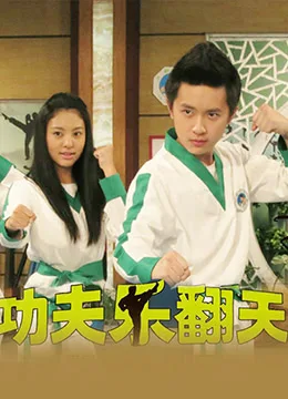 功夫乐翻天海报