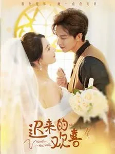 迟来的欢喜海报