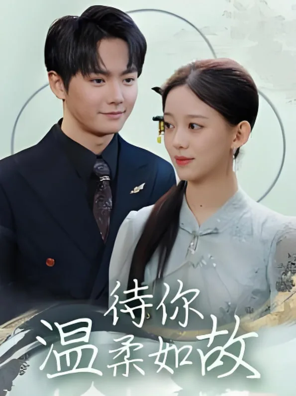 待你温柔如故海报