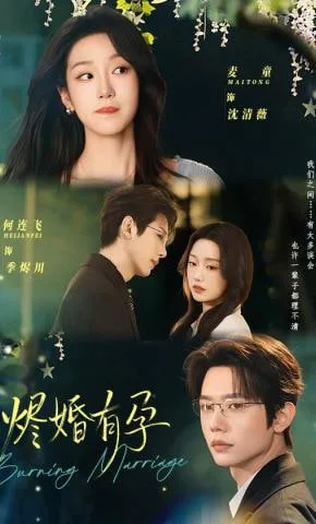 烬婚有孕海报