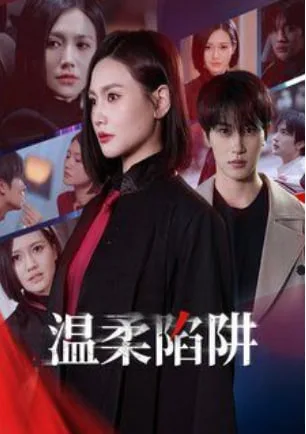 温柔陷阱海报