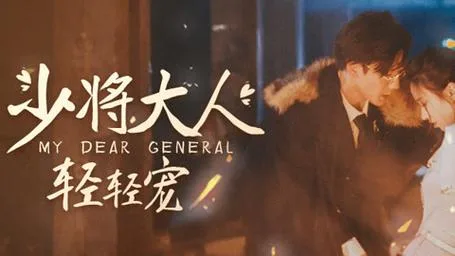 少将大人轻轻宠海报