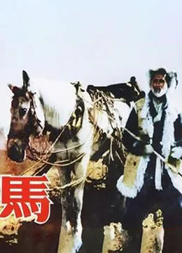 马 1956海报