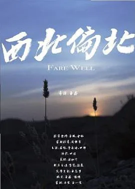 西北偏北（普通话）海报