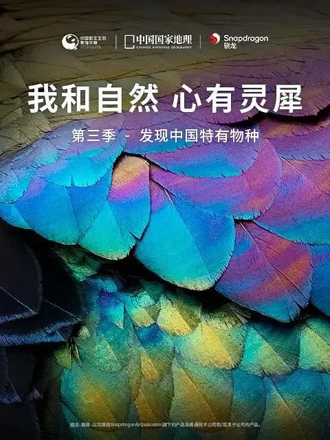 我和自然 心有灵犀 第三季海报