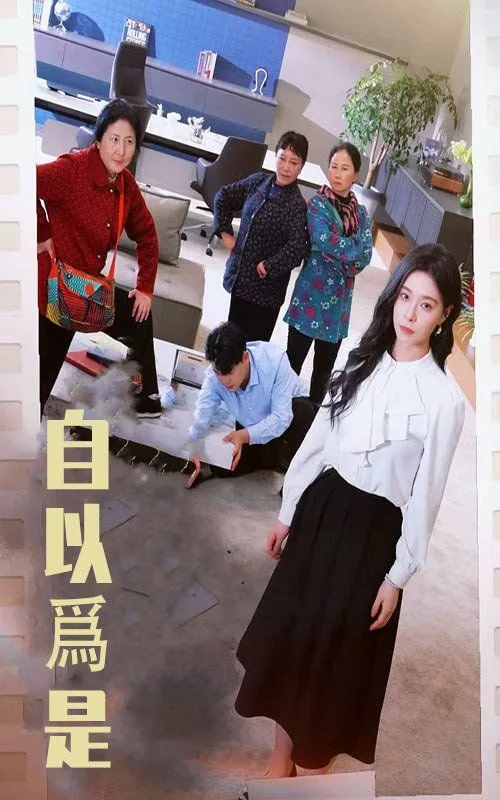 自以为是海报