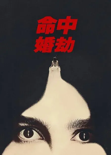 命中婚劫海报