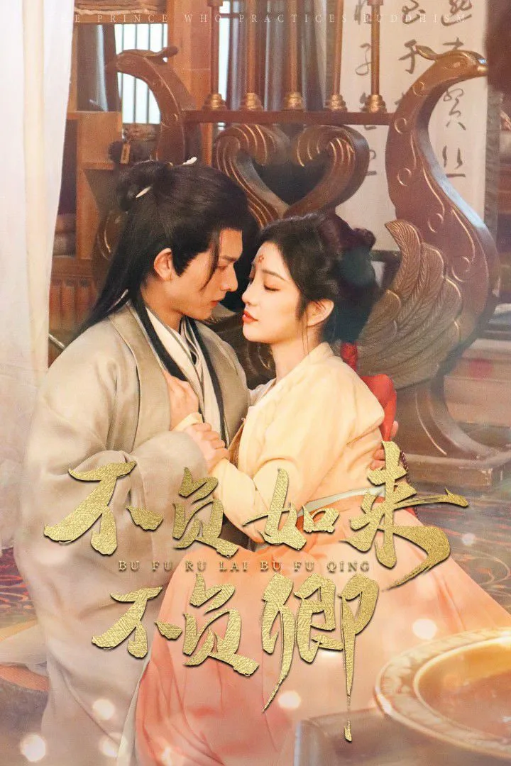 不负如来不负卿 2025海报