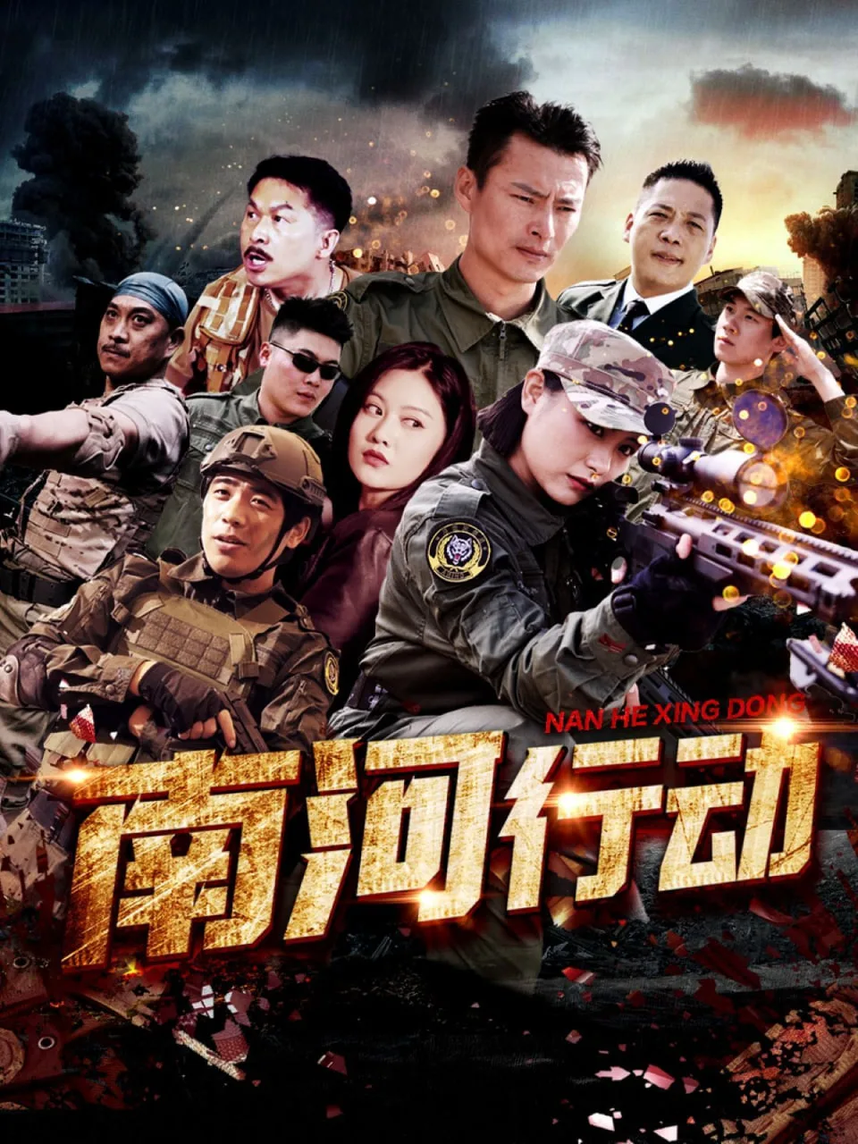 南河行动海报