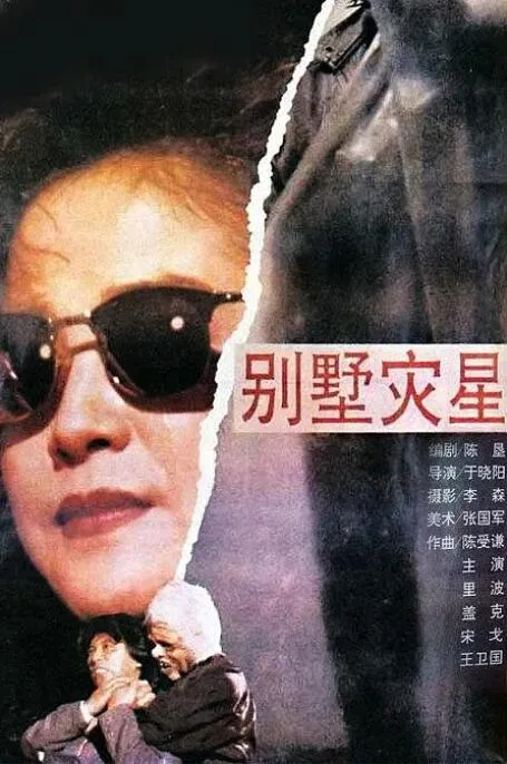 别墅灾星海报