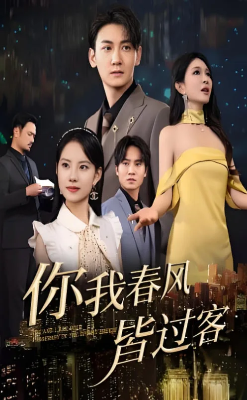你我春风皆过客海报