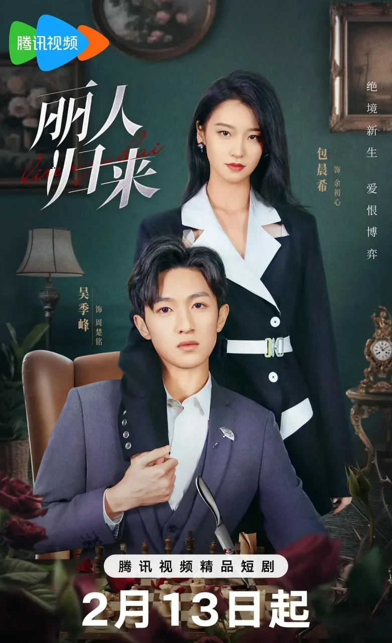 丽人归来海报