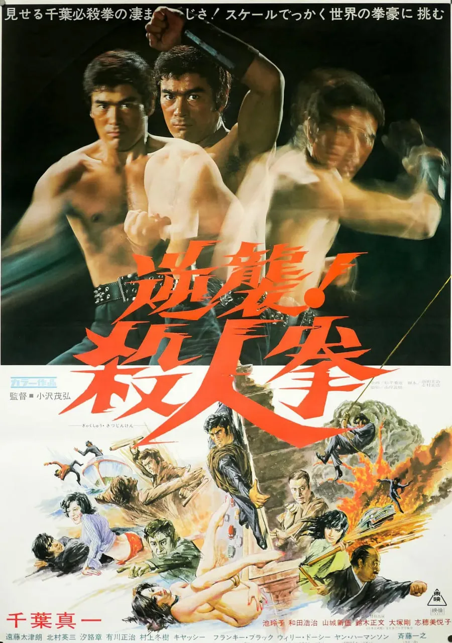 逆袭！杀人拳海报