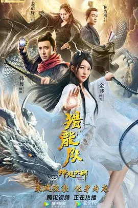 降龙大师海报