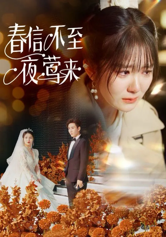 春信不至夜莺来海报