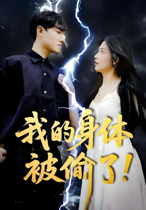 我的身体被偷了海报