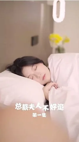 总裁夫人不好追海报