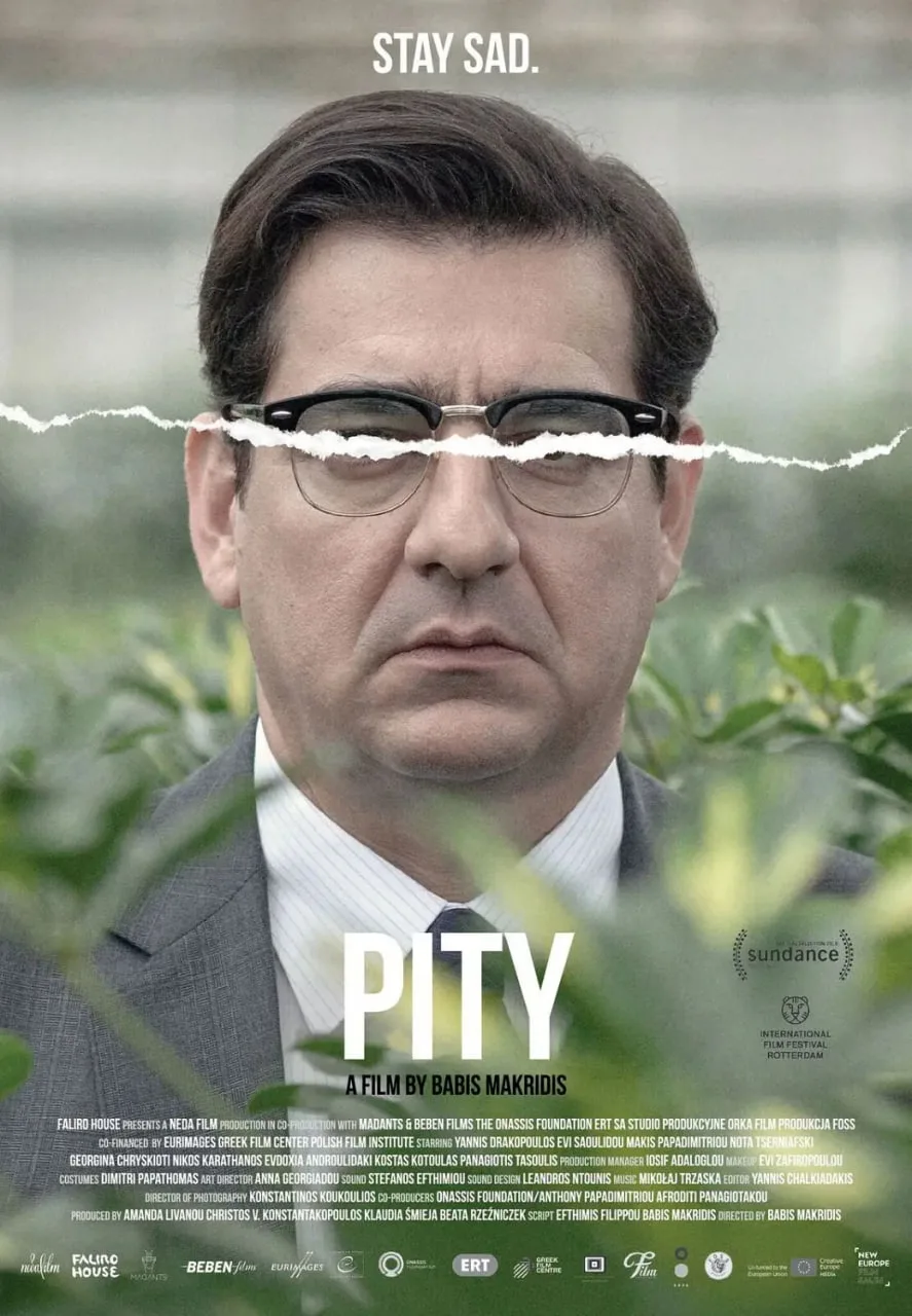 怜悯 2018海报