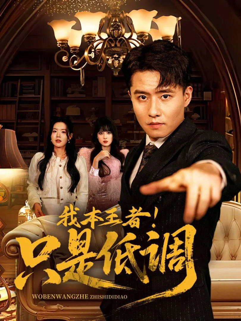 我本王者！只是低调海报