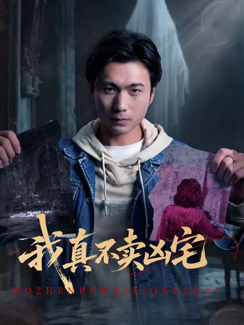 我真不卖凶宅海报