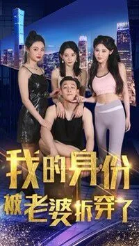 我的身份被老婆拆穿了海报