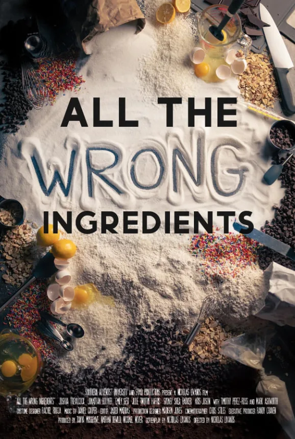 All The Wrong Ingredients海报