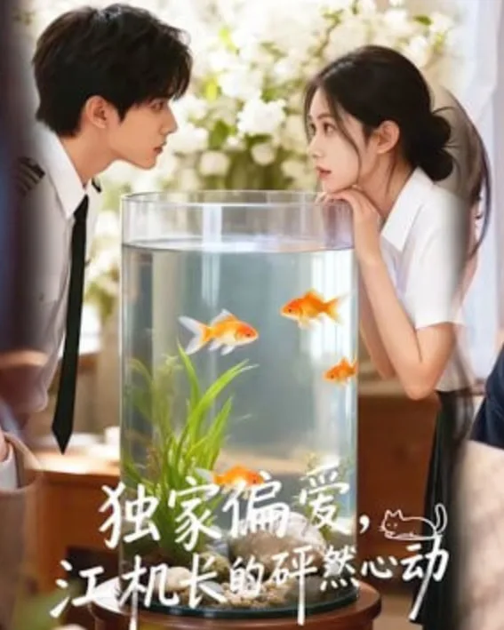 独家偏爱，江机长的砰然心动&恋心月下海报