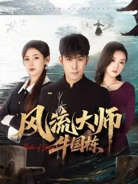 风流大师牛国栋海报