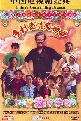 乡村爱情交响曲海报