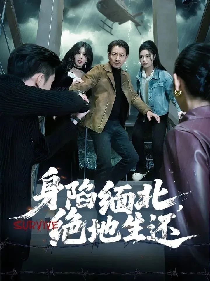 身陷缅北，绝地生还海报