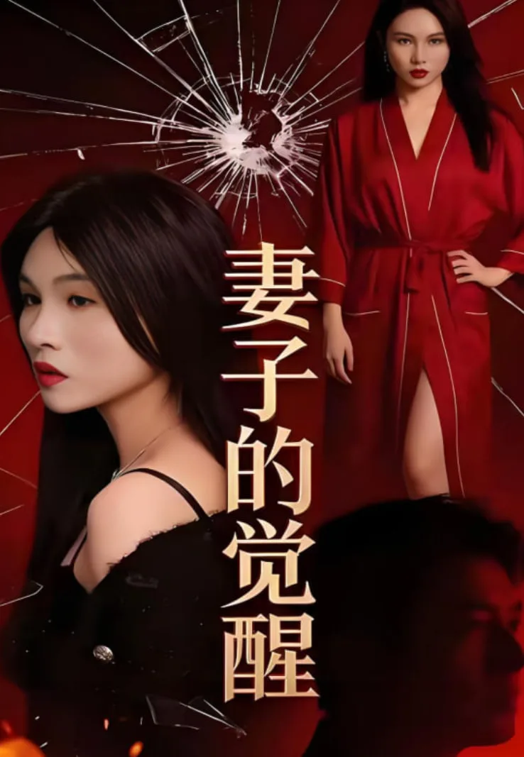 妻子的觉醒海报