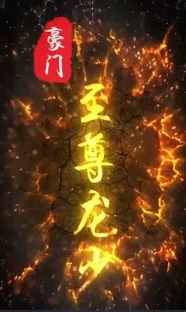 豪门至尊龙少海报