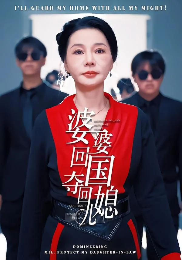 婆婆回国，夺回儿媳海报