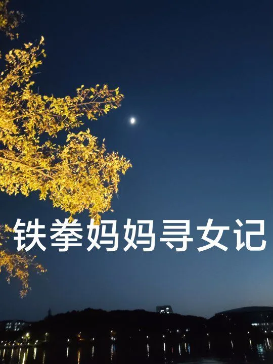 铁拳妈妈寻女记海报