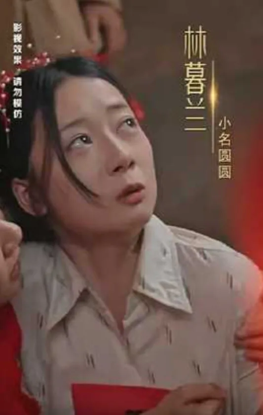 来自深山的凝望海报