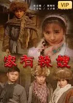 家有辣嫂海报