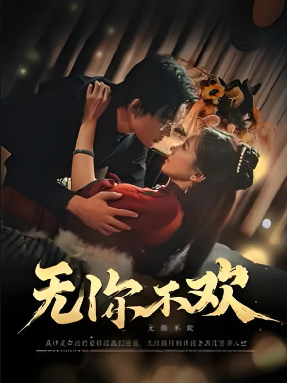 无你不欢海报